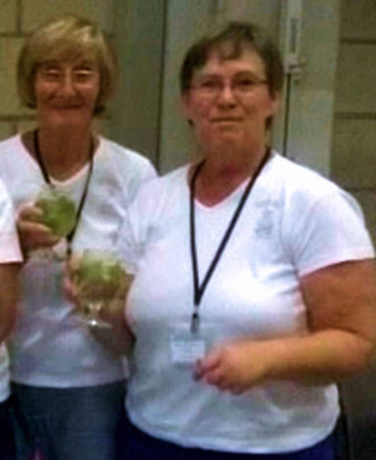 T-shirt Sol's Lady V, v-hals, korte mouw, 100% katoen, wit, S tot XL, (20€)