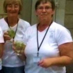 T-shirt Sol's Lady V, v-hals, korte mouw, 100% katoen, wit, S tot XL, (20€)